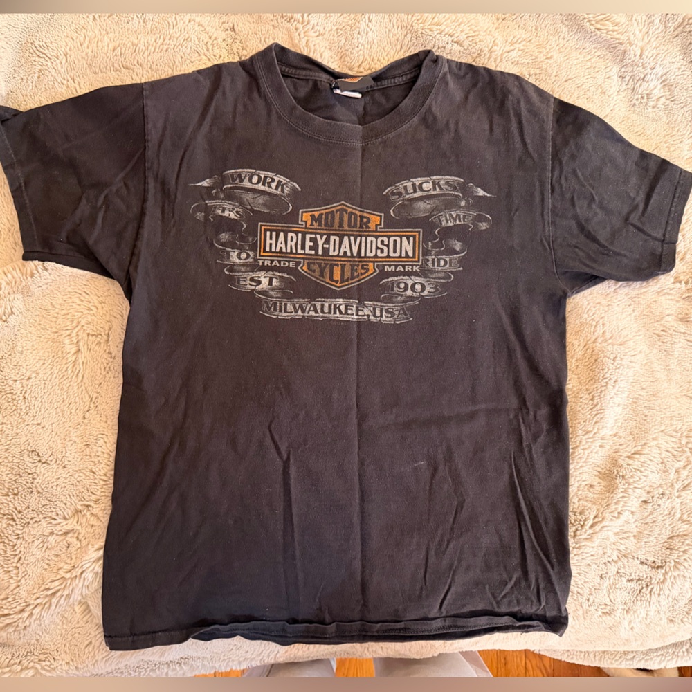 Harley-Davidson Stormy Hill Florida Black Tee